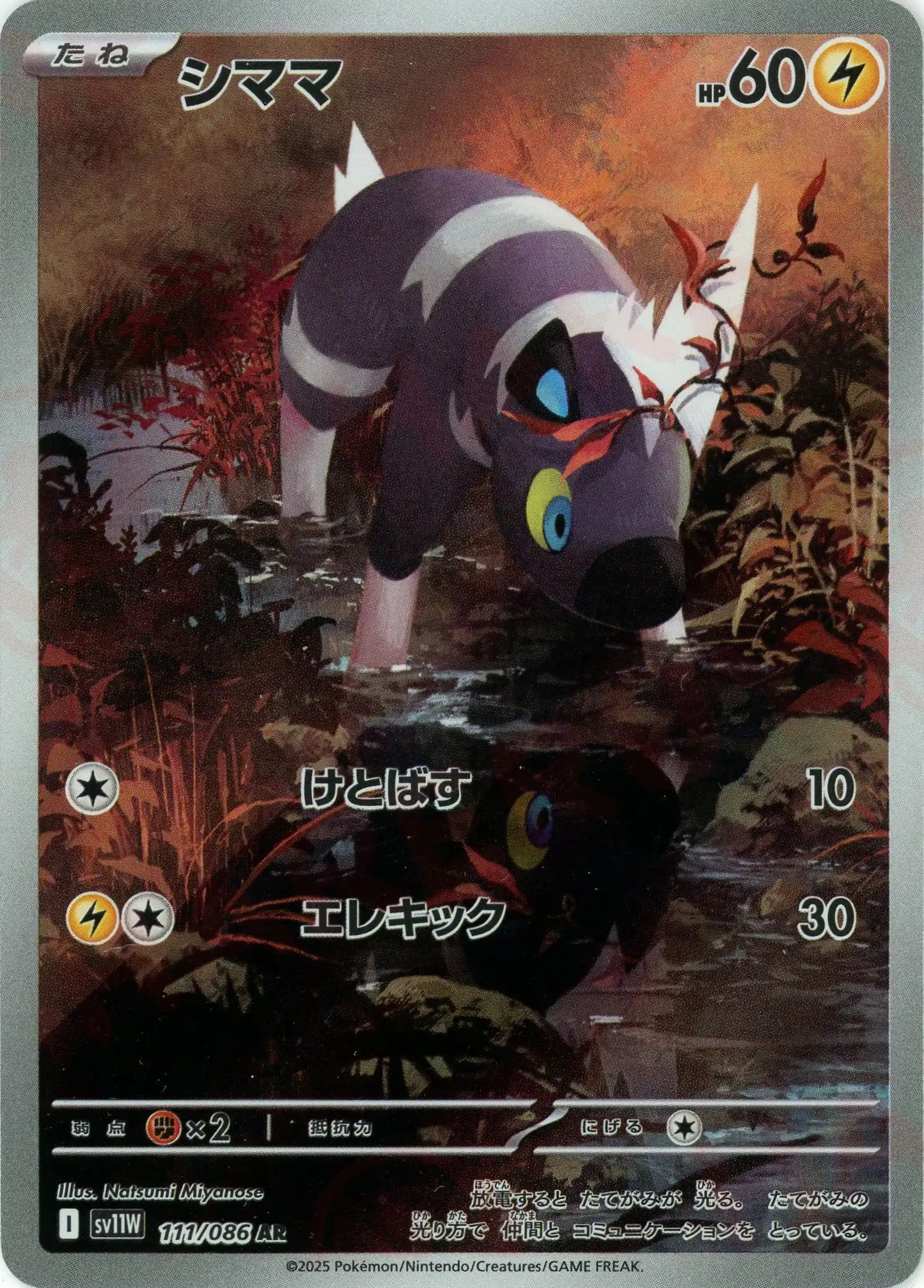 シママ(AR){雷}〈111/086〉[SV11W]