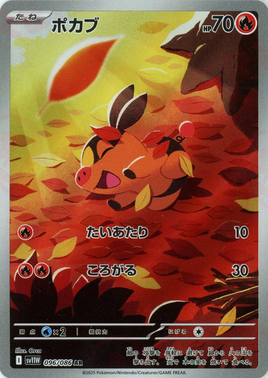 ポカブ(AR){炎}〈096/086〉[SV11W]