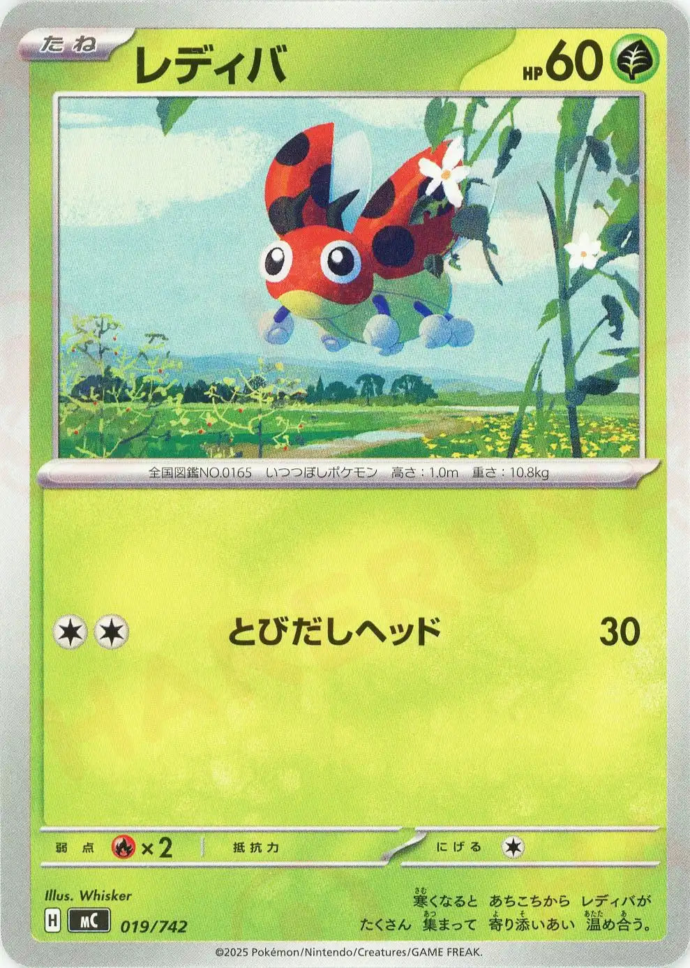 レディバ(-){草}〈019/742〉[MC]